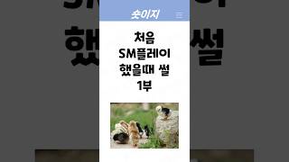 처음 SM플레이 했을때 썰 1부