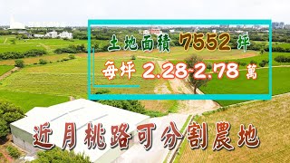 大園農地/地7552坪/總價2.0995億(每坪2.8萬)/UE30111005