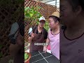 用口罩高压繁殖三角梅，存活率非常高。 三角梅 花卉绿植 高压繁殖 种植小技巧