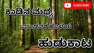 ಕಾಡಿನ ಮಧ್ಯ ಪಾಂಡವರ ಹೊಳೆಯ  ಹುಡುಕಾಟ #sirsi #SIRSI bites #river #travel #vlog #nature