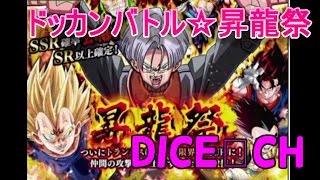 【ドッカンバトル】昇龍祭ガチャ10連に挑戦！SSR確率2倍なにがでるかな！DRAGONBALL DOKKANbattle