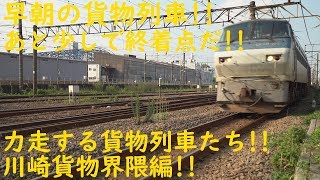 2019/07/31 [貨物列車][定点観測] あと少しで終着点!! 力走する貨物列車たち!! 川崎貨物界隈編!!