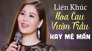 LK Hoa Cau Vườn Trầu, Tình Yêu Trên Dòng Sông Quan Họ, Ca Dao Em Và Tôi - Nhạc Quê Hương HAY MÊ MẨN