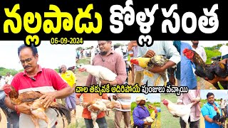 ఈ రోజు జరిగిన నల్లపాడు కోళ్ల సంత | Nallapadu Kolla Santha Videos | Kolla Breeds Farming | N5 Media