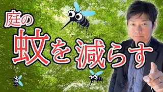 蚊に困らない家を目指す方法を解説【庭師が解説】