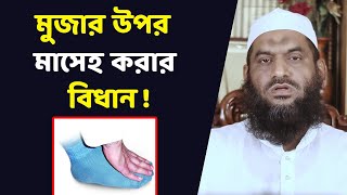 মুজার উপর মাসেহ করার বিধান মাওলানা মামুনুল হক | Maolana Mamunul Haque