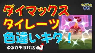 本編【色違いキター！タイレーツ】 #ポケモンgo #ポケモン #ダイマックス #色違い #タイレーツ #shinypokemon