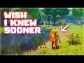 40+ Tips I Wish I Knew Sooner | RuneScape: Dragonwilds