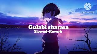 Gulabi Sharara (Slowed+Reverb) | Lofi Song | Adarsh Agarwal 2008 | #viral #gulabisharara #trending