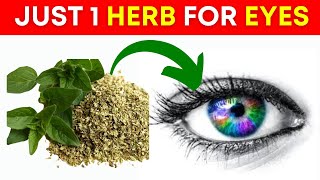 3 Herbs to Protect Eyes and Repair Vision