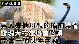 民間故事：男人去他母親的墳前燒香，發現大蛇在墳前磕頭，牽出一樁陳年舊案｜高朗講故事