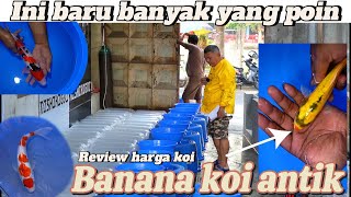 Ini baru seruuu!!banyak yang poin ni‼️ada koi banana juga tapi stok terbatas‼️buruan