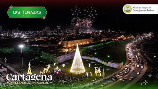 ¡HERMOSO! ¡CARTAGENA ENCENDIÓ SU ALUMBRADO NAVIDEÑO!