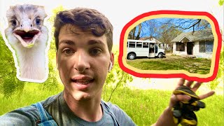 Why I Bought a Bus and Crackhouse for Animal Rescue (and Kevin)