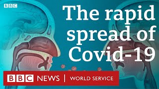 Coronavirus: Why is Covid-19 so infectious? - BBC World Service