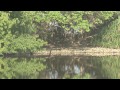 atoll ecosystem conservation aec project documentary