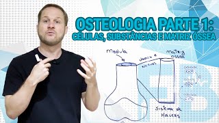 Osteologia Parte 1: Células, substâncias e matriz óssea