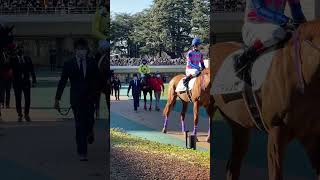 Horse　Racehorse　【Tokyo Racecourse】　東京競馬場　パドック