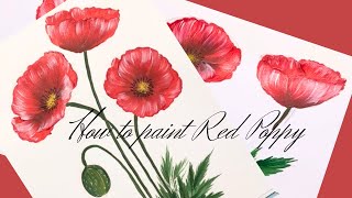 Red Poppy, How to draw \u0026 paint for beginners, Acrylic painting