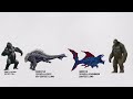 all monsterverse creatures u0026 titans sizes