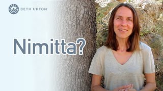 Working with a nimitta in meditation