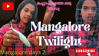 Mangalore trip | Panambur beach at night | authentic Mangalorean dishes |