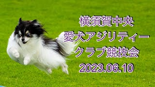 横須賀中央愛犬アジリティークラブ競技会2023.06.10