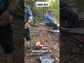 Mengai masak makan di Mini Amazon Kedah #shortsvideo #shorts #short