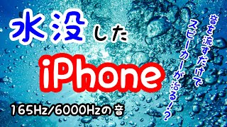 水抜きビーバー　　iPhone、スマホの水抜き音/スピーカーの音割れ改善　165Hz、6000Hz