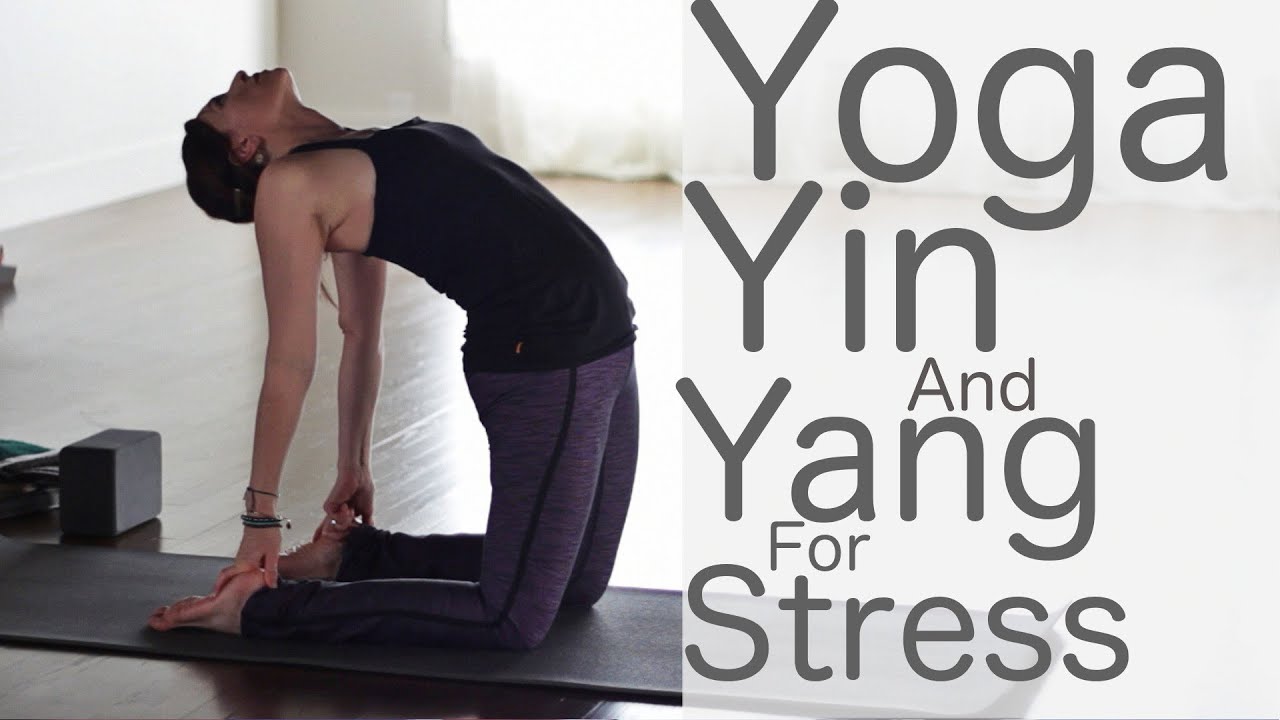 Yoga For Stress Relief: Yin And Yang | Fightmaster Yoga Videos - YouTube