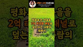 중국인들이 2억 태양광 패널로 한국 마을을 덮은 충격적인 일