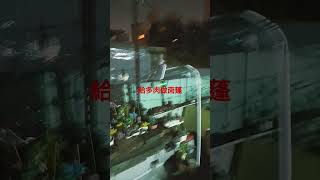 給多肉做簡易雨棚