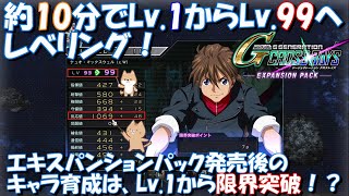 【雑編集】キャラクター版！Lv.01からLv.99まで約10分のレベリング！～インフェルの環境～【SD Gundam G Generation CrossRays Expansion pack】