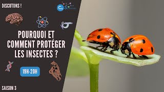 Pourquoi et comment protéger les insectes ?