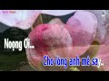 phiên chợ ngày xuân karaoke remix tone nam