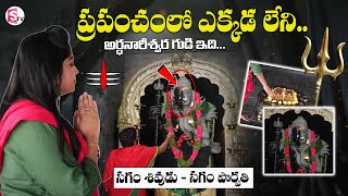 Anchor Jaya Ardhanareeswara Temple Vlog Hyderabad | Anchor Jaya Exclusive Videos | SumanTV