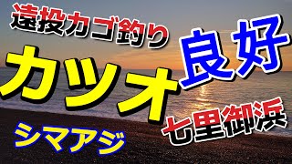 七里御浜で遠投カゴ釣り！　カツオの強烈な引きを堪能しました。良型シマアジもGetで晩秋の釣りを満喫です。