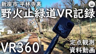 VR 360 野火止緑道（平林寺裏）2025年1月17日