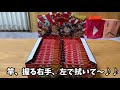 下ネタしか言わないワンピース開封動画