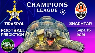 Sheriff Tiraspol vs Shakhtar Donetsk ⚽ UEFA Champions League 2021/22 🐢 Turtle Football Predictions