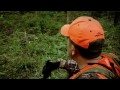 Boar Hunting in Georgia  The F Word With Foxy Games