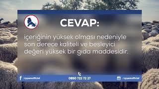 CP YEM - KOYUN, KUZU YETİŞTİRİCİLİĞİ / SORU 17 - TÜRKİYE'DE KOYUN SÜTÜ NEDEN DEĞERLENDİRİLEMİYOR ?