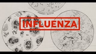 Influenza’s Threat: Then and Now - Powel H. Kazanjian