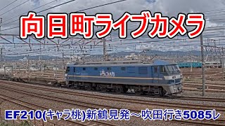 【向日町ライブカメラ】EF210(キャラ桃)新鶴見発～吹田行き5085レ