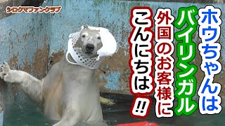 ホウちゃんはバイリンガル💗外国のお客様にこんにちは‼【天王寺動物園】