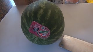 Mini Seedless Watermelon | Melon Up  | Fruit review