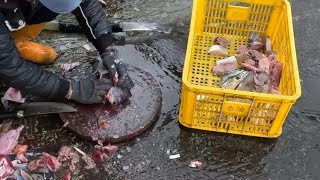 肥肥黑毛 清爽剝皮魚 魚工支援代殺 粉鳥林漁港 定置漁場 seafood fishground fishport / 高清 / 台湾魚の港 / 대만 생선 항구