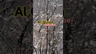 Al Quran Islamic videos watch and subscribe #bayan #love #arhaus #awana #unfrezzmyaccount