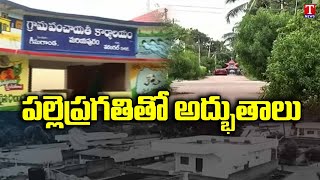 Special Story On Warangal, Palle Pragathi Fetching Awards For Telangana Villages | T news