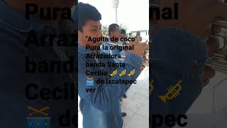 agüita de coco pura la original Arrazadora banda Santa Cecilia 🥁🥁🎺 de Ixcatepec ver 🎺🥁